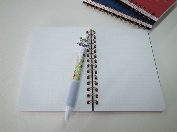 画像3: 【NEW】ふっかちゃんポケットノート／LIFE株式会社