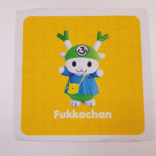 画像8: ふっかちゃん ハンドタオル【実写／園児Ver.】