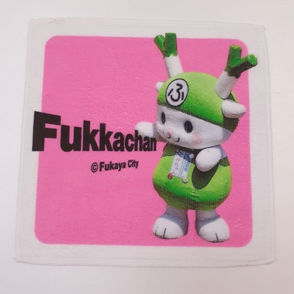 画像7: ふっかちゃん ハンドタオル／【実写Ver.】