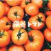 画像2: ふかや農産物タオル／深谷トマト (2)