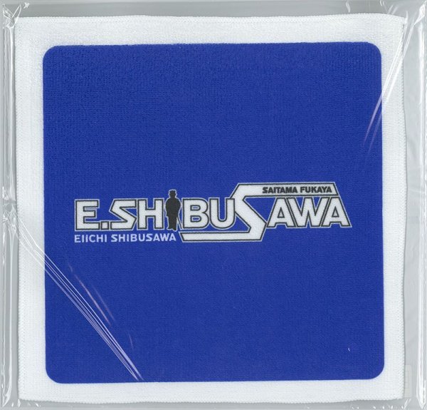 画像3: 【渋沢栄一】E.SHIBUSAWAハンドタオル／全４色／25×25cm