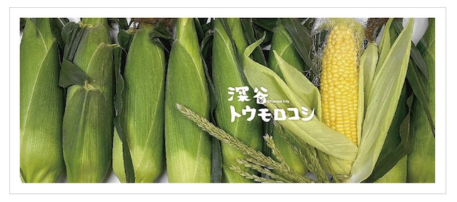 画像1: ふかや農産物タオル／深谷トウモロコシ